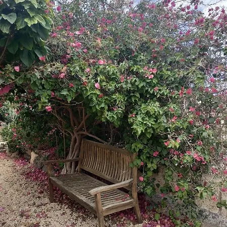 Διαμέρισμα Casa La Sabina *