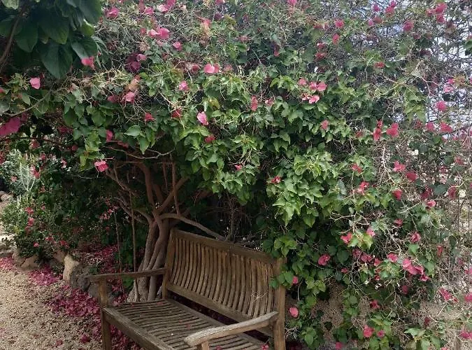 Διαμέρισμα Casa La Sabina *